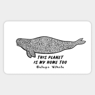 Beluga Whale - This Planet Is My Home Too - on white Magnet